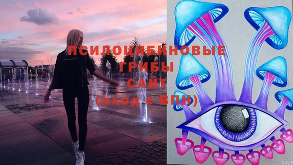 ECSTASY Алзамай