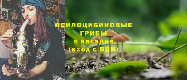 дурь Алексеевка