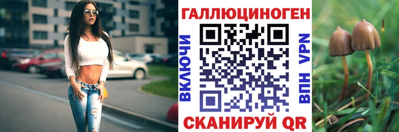 Псилоцибиновые грибы Magic Shrooms  где купить   дарк нет наркотические препараты  Дедовск 