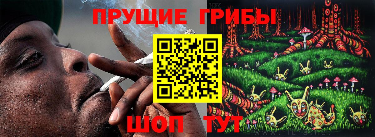 Дедовск  Галлюциногенные грибы ЛСД  где можно купить   Вход с VPN 